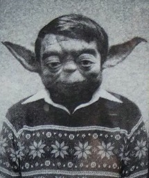 SHAWN BROWN
