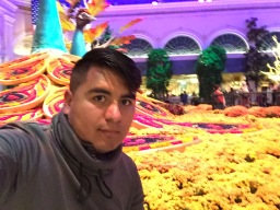 LUIS ARMANDO ROJO CORONA